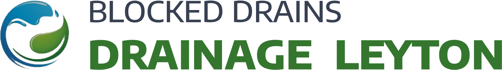 website logo
